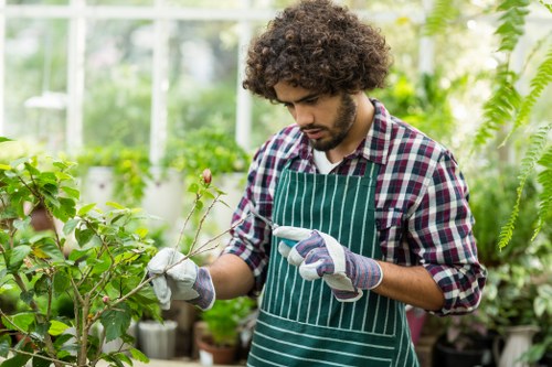 Professional landscaper planning planting and pathways in an urban garden
