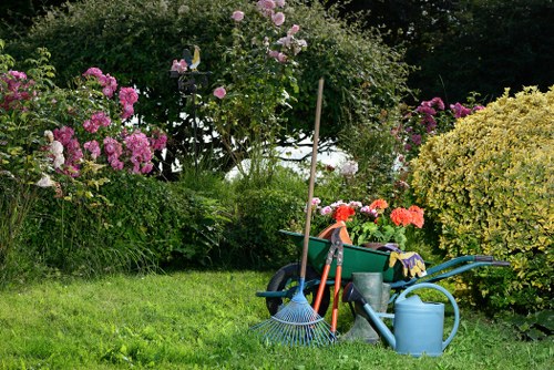 Autumn lawn maintenance and aeration in Regentspark