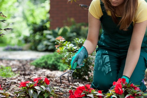Outdoor patio restoration work improving a Regentspark property