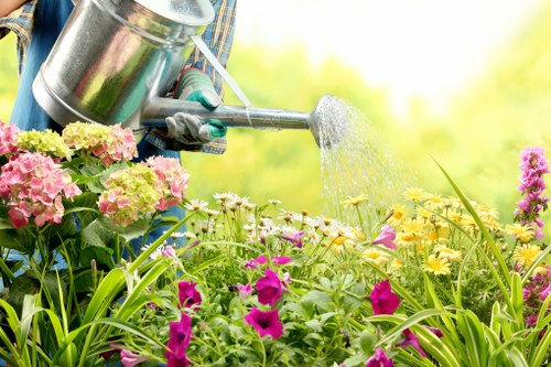 Hard landscaping features in a Regentspark outdoor space