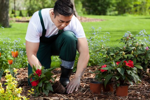 Professional outdoor space maintenance for a commercial property in Regents Park