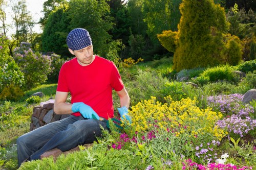 Collected green waste during Regentspark garden clearance