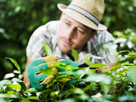 Landscapers Regentspark removal pricing for home and business waste