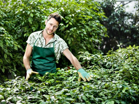 Overgrown garden being cleared in Regentspark