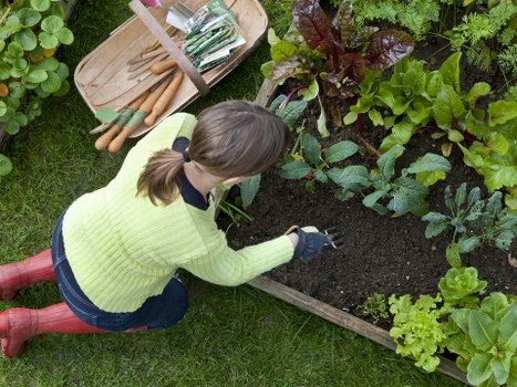 Professional team handling garden clearance in Regentspark