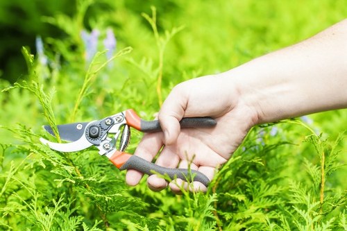 Garden beds and shrubs arranged by planting experts in Regentspark