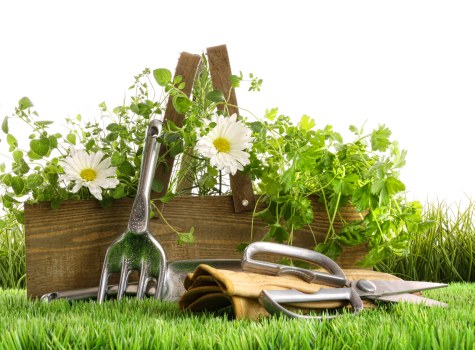 Worker handling garden waste and rubbish safely
