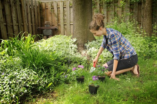 Safe and precise hedge trimming in Regentspark for clean property boundaries