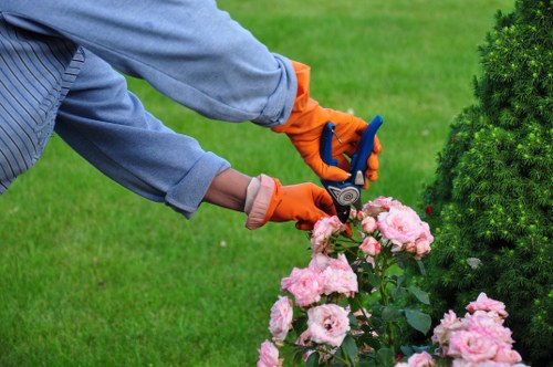 Edged lawn borders and tidy turf in a Regentspark property