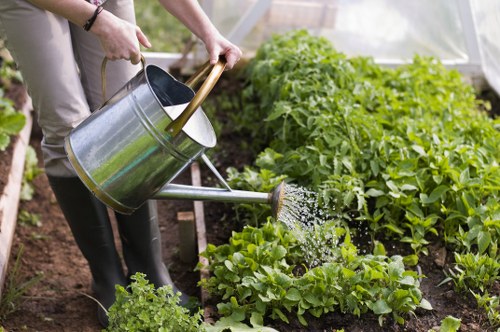 Seasonal garden maintenance service in Regents Park with tidy planting beds