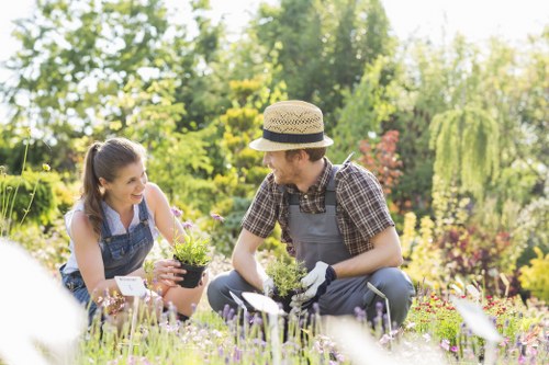 Final complaints resolution for a landscaping job